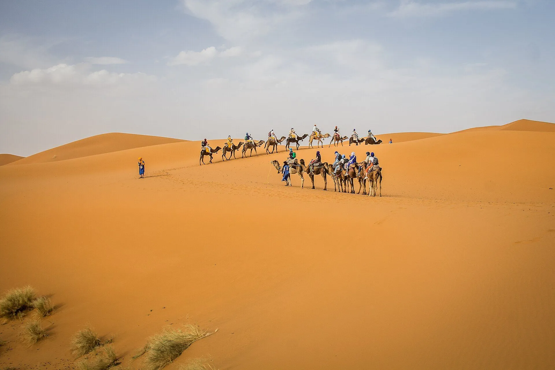 Sahara Maroc