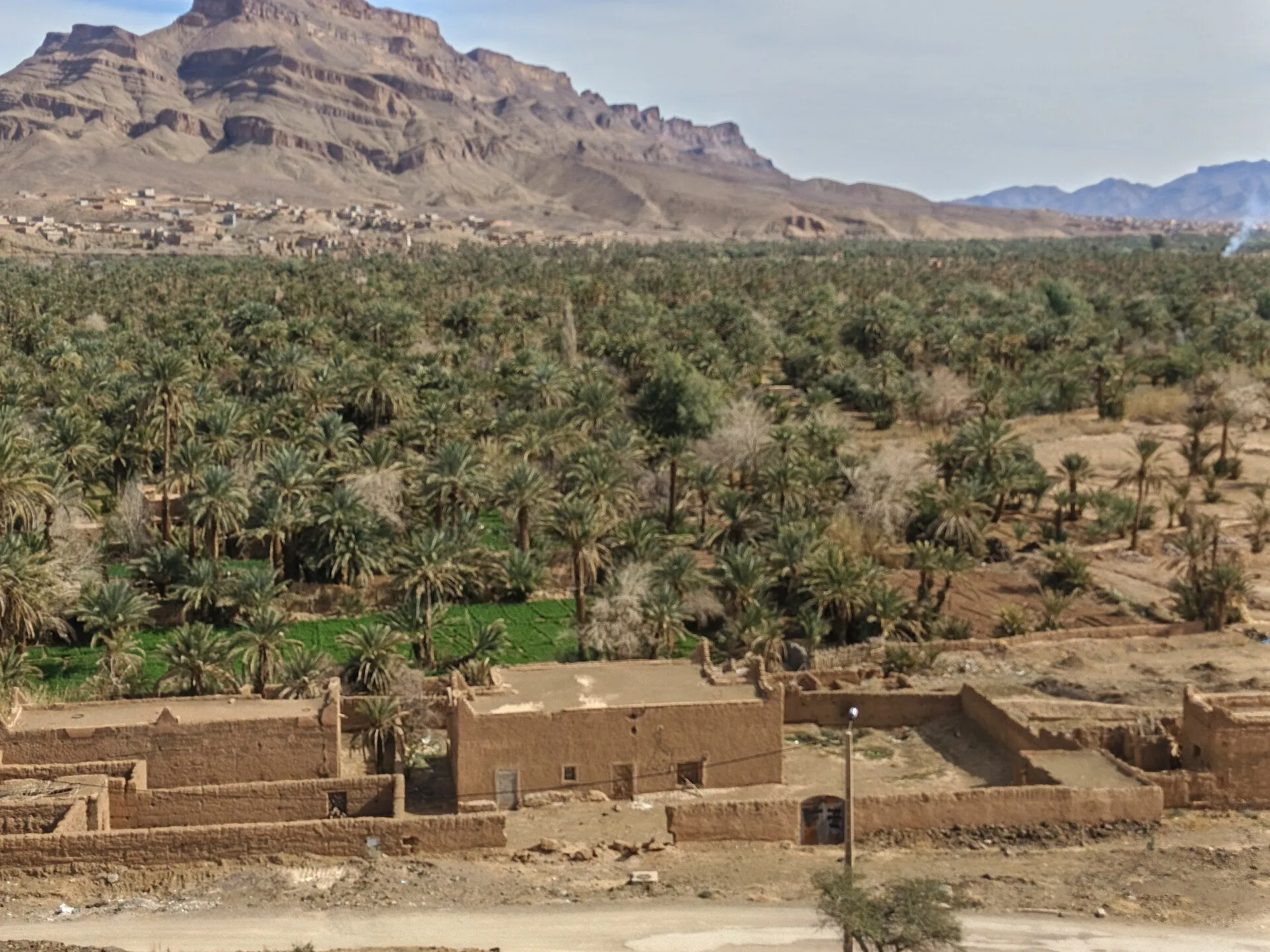 Draa Valley — Draa Valley palm groves