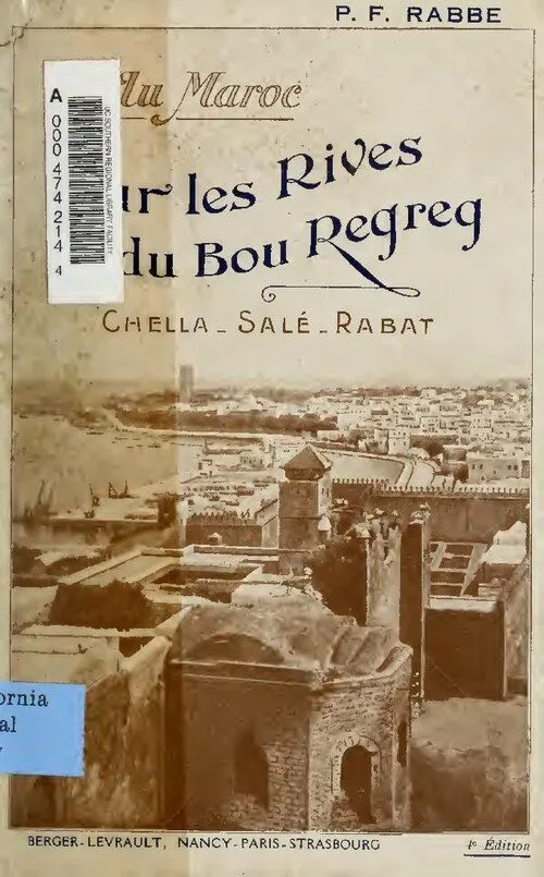 Quad + balade à dos de dromadaire — Désert
